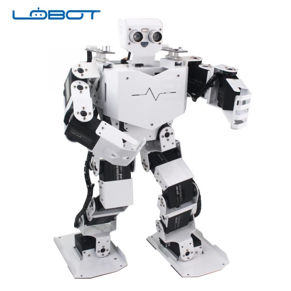 LOBOT1