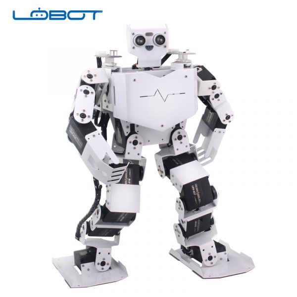 LOBOT2