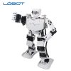 LOBOT3