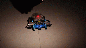 follow.gif