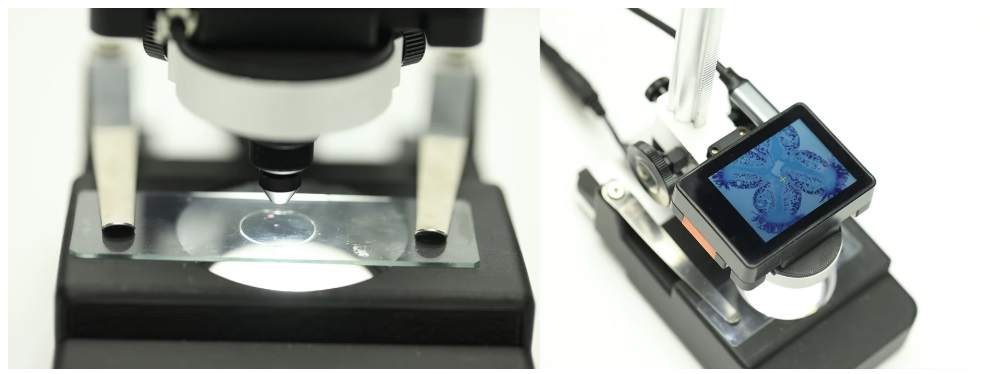 使用 HUSKYLENS 2 顯微鏡相機模組觀察細胞